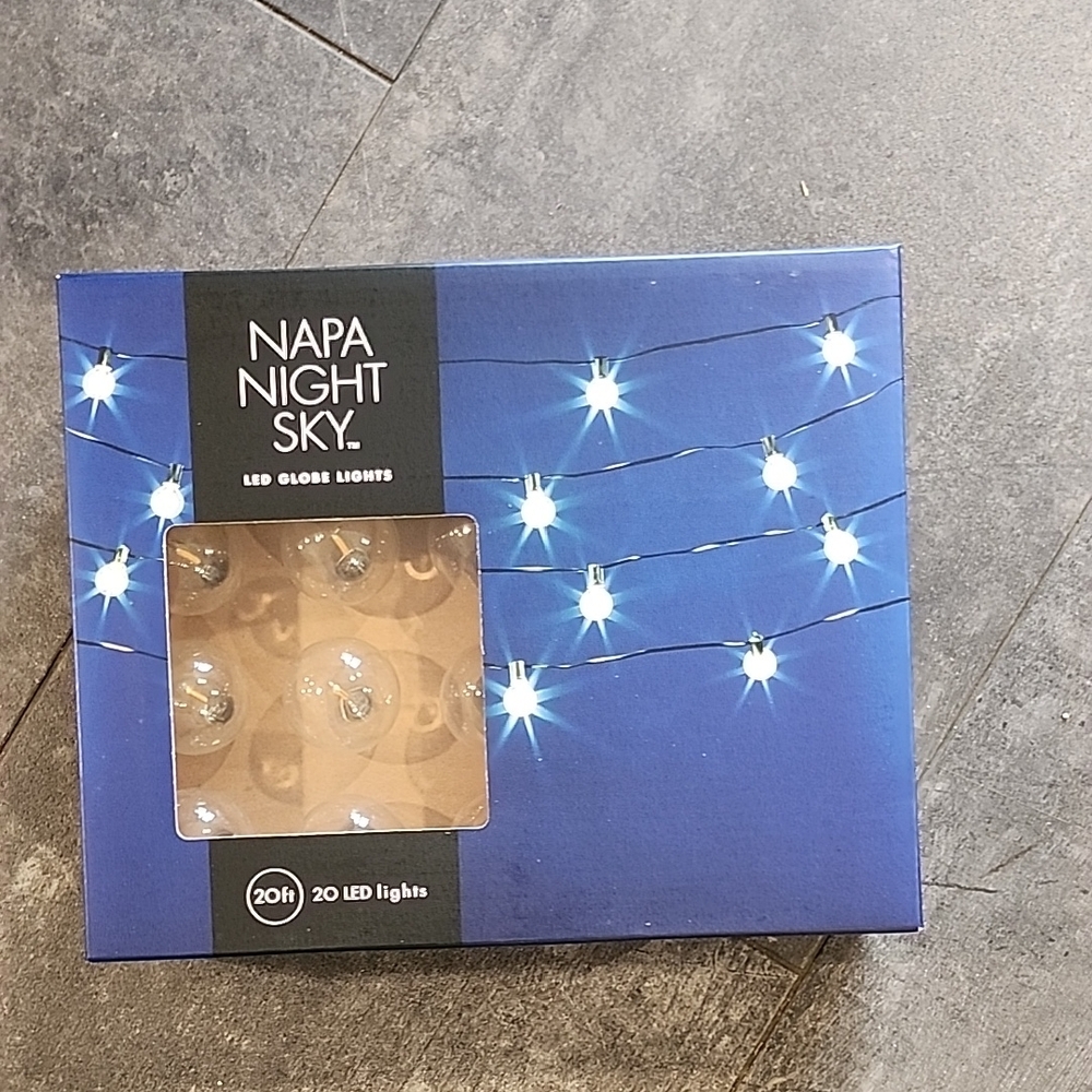 LED Globe Lights